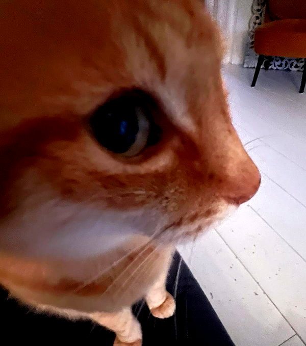 minenmi_ instagram image archive image
