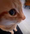 minenmi_ Altpins Profile Picture