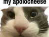 minenmi_ Altpins Profile Picture