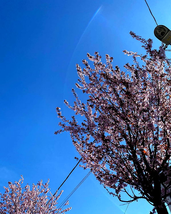 mira.004 instagram image archive image