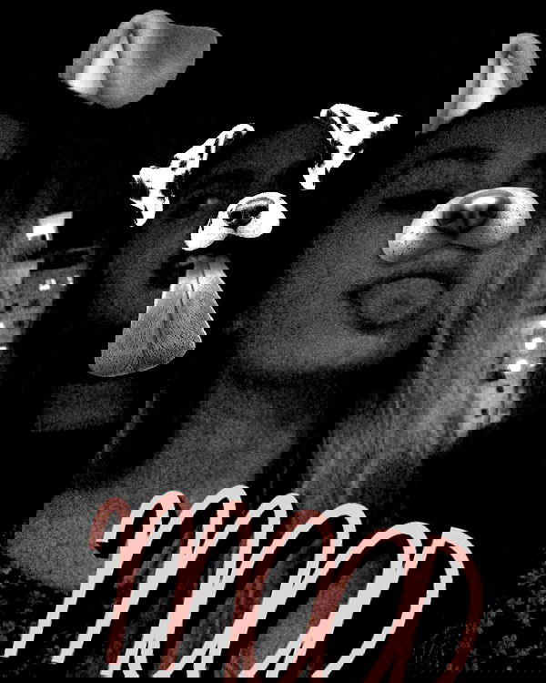 mishel116 mishel116 archive image