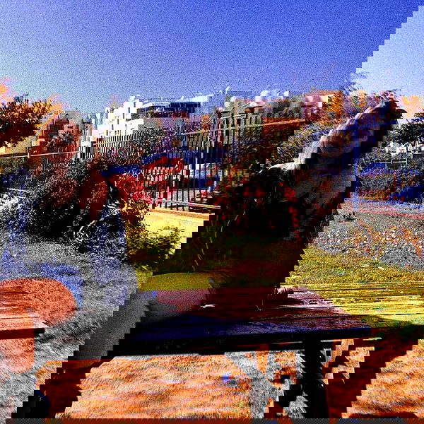 mishel116 mishel116 archive image