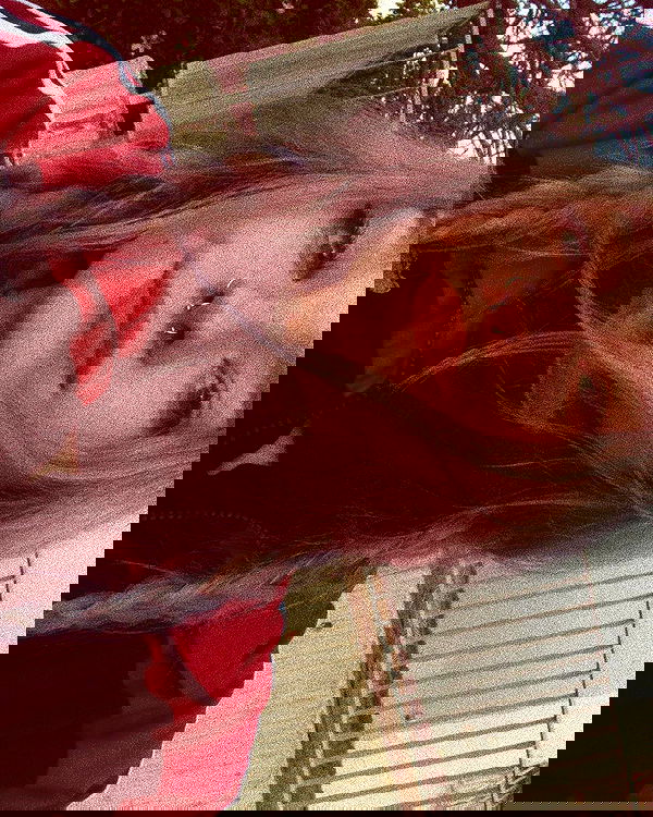 mishel116 mishel116 archive image