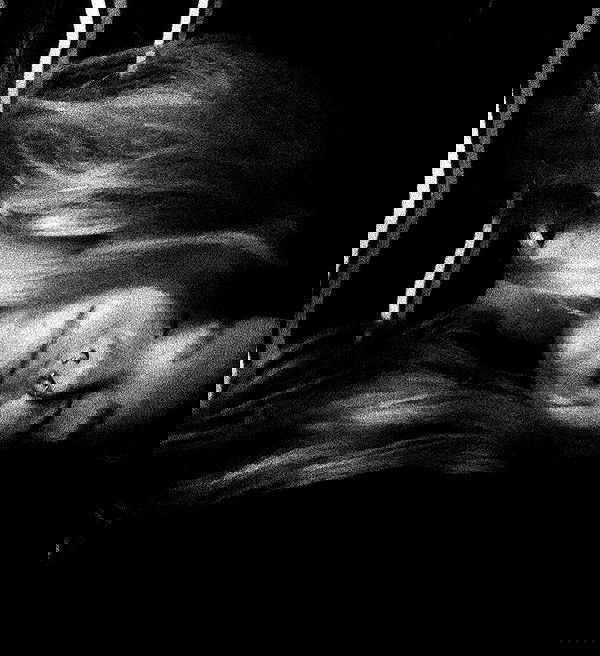 mishel116 mishel116 archive image