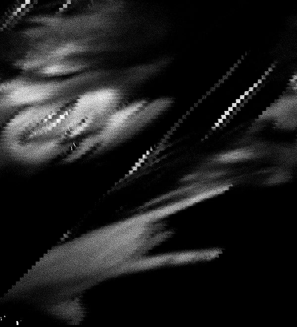 mishel116 mishel116 archive image