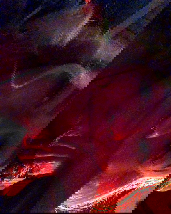 mishel116 mishel116 archive image