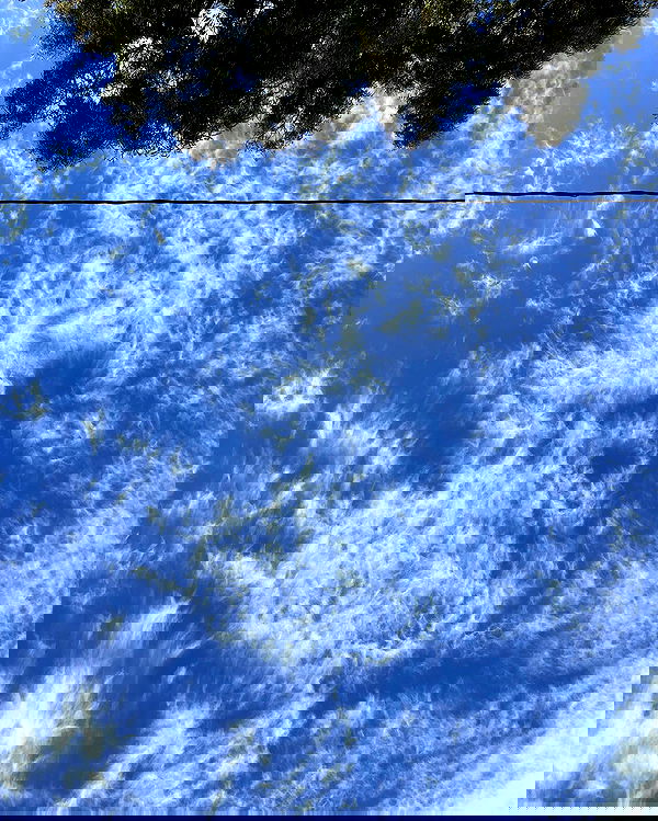 mishel116 mishel116 archive image