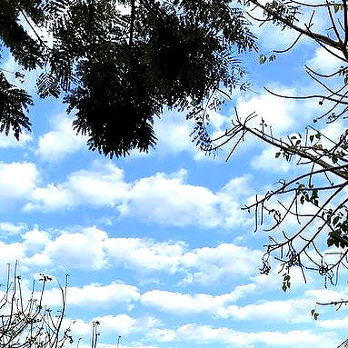 mishel116 mishel116 archive image