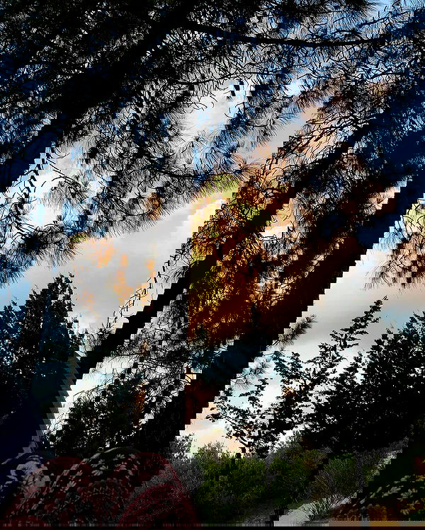 mishel116 mishel116 archive image