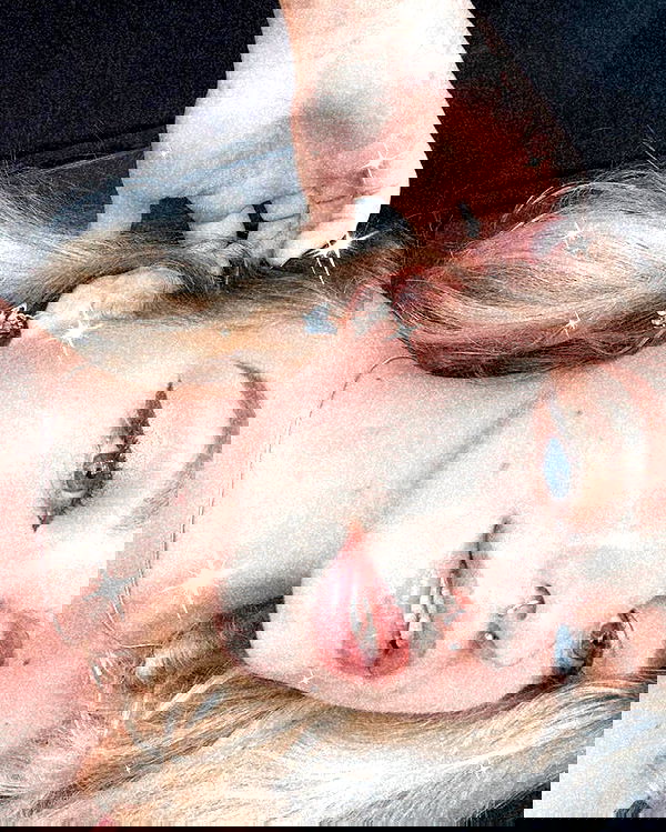 mishel116 mishel116 archive image