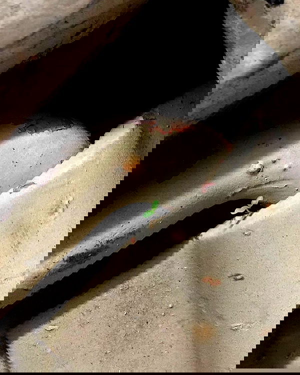 mishel116 mishel116 archive image