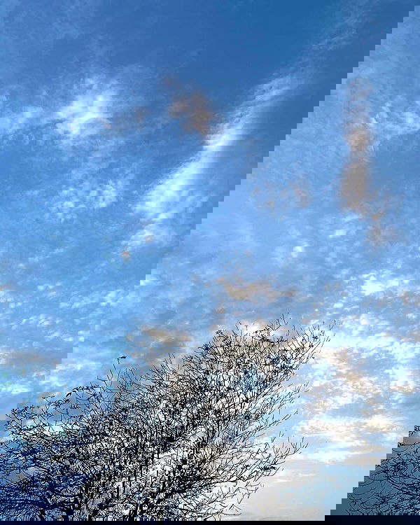 mishel116 mishel116 archive image