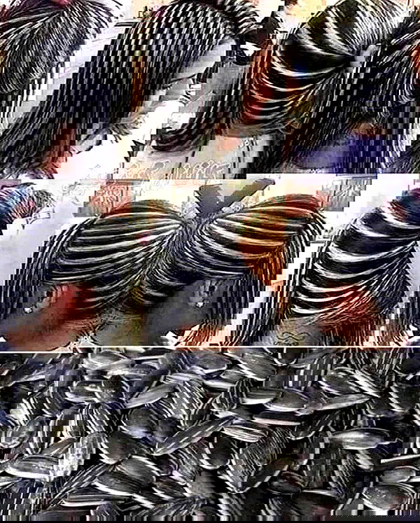 mishel116 mishel116 archive image