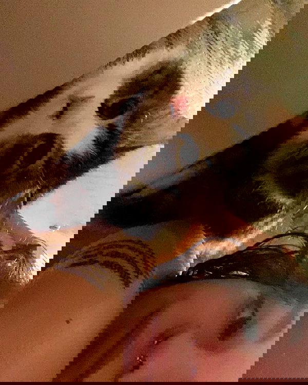 mishel116 mishel116 archive image