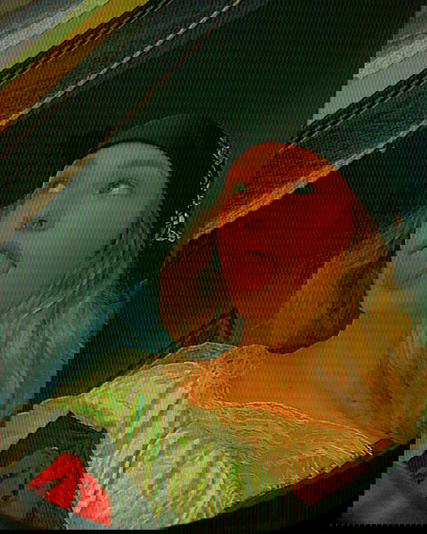 mishel116 mishel116 archive image