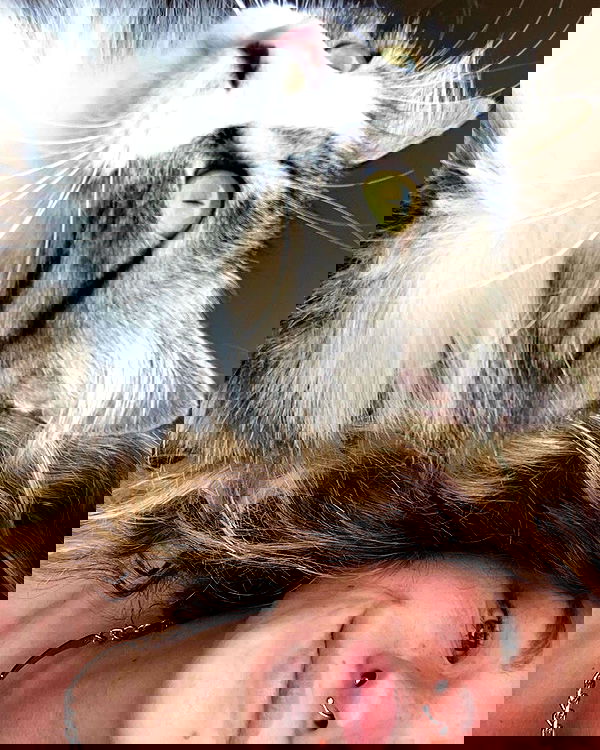 mishel116 mishel116 archive image