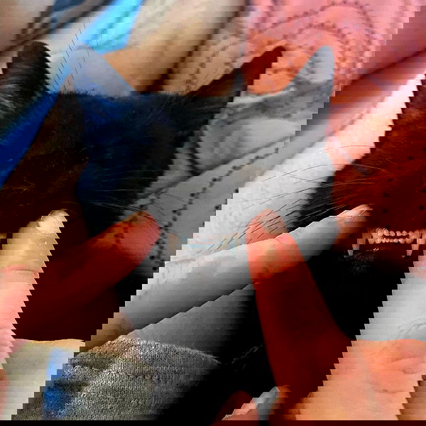 mishel116 mishel116 archive image