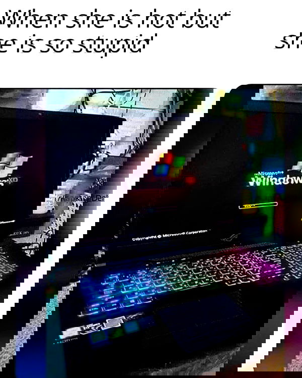 mishel116 mishel116 archive image