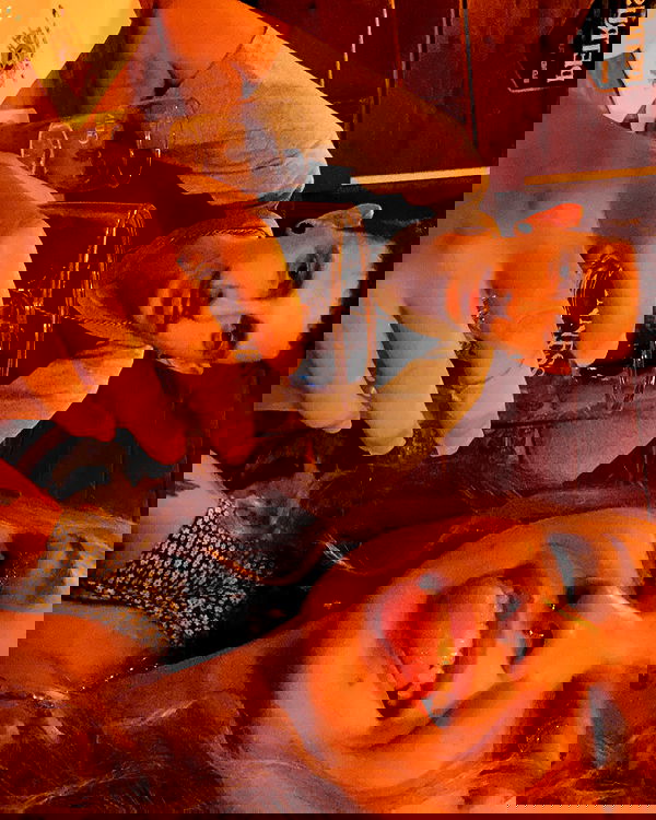 mishel116 mishel116 archive image