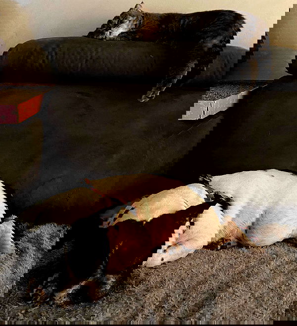 mishel116 mishel116 archive image