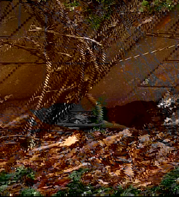 mishel116 mishel116 archive image