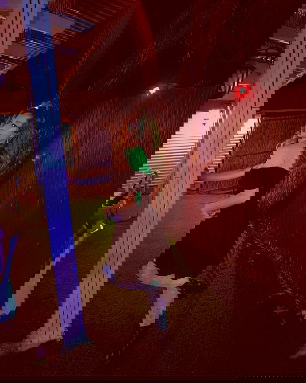 mishel116 mishel116 archive image