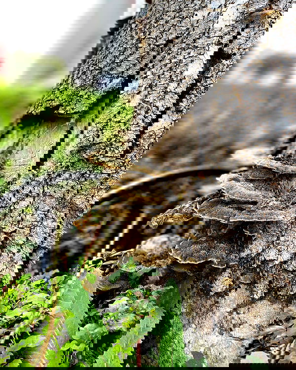 mishel116 mishel116 archive image