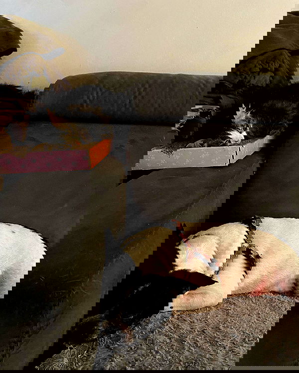 mishel116 mishel116 archive image