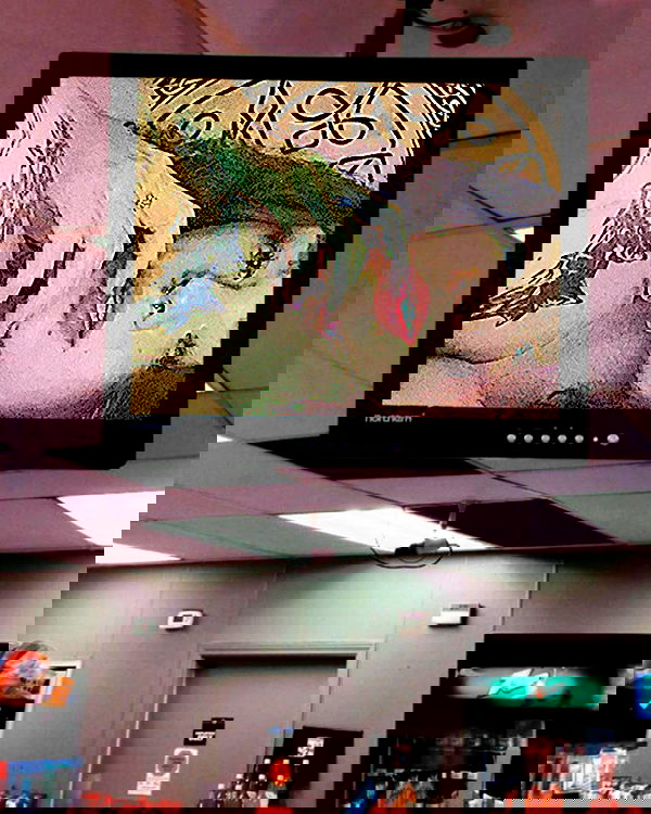 mishel116 mishel116 archive image