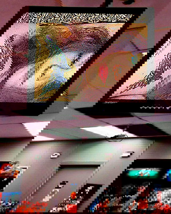 mishel116 mishel116 archive image