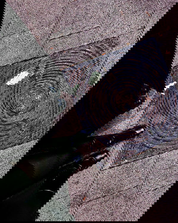 mishel116 mishel116 archive image