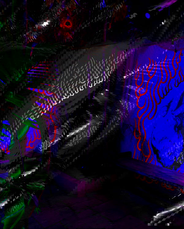 mishel116 mishel116 archive image