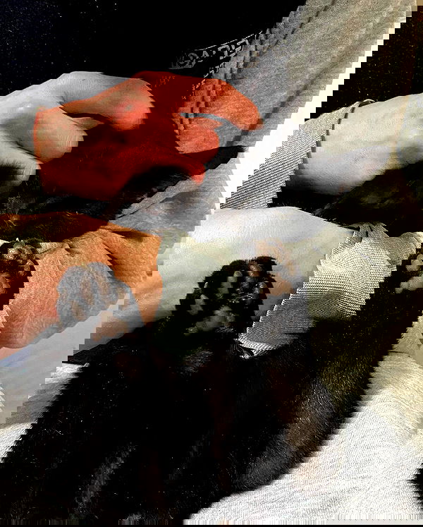 mishel116 mishel116 archive image