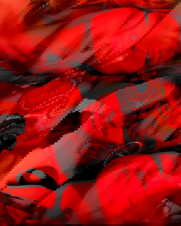 mishel116 mishel116 archive image