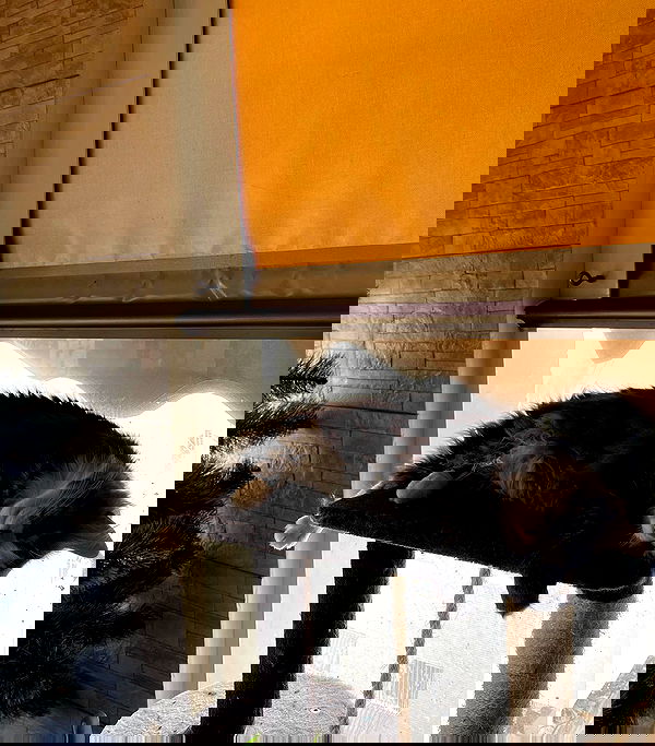 mishel116 mishel116 archive image