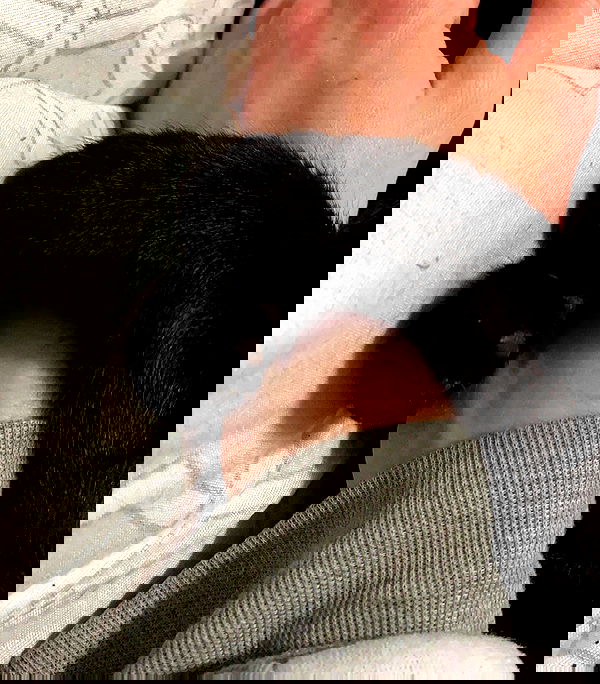 mishel116 mishel116 archive image