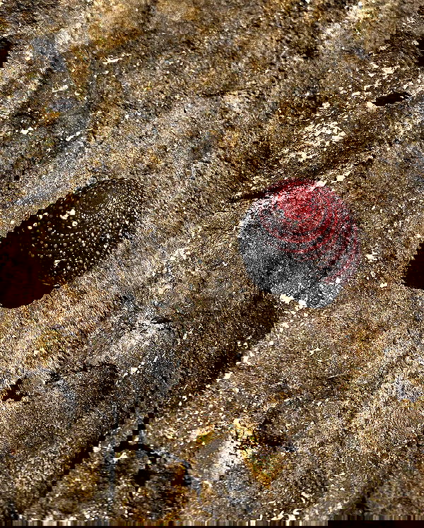 mishel116 mishel116 archive image