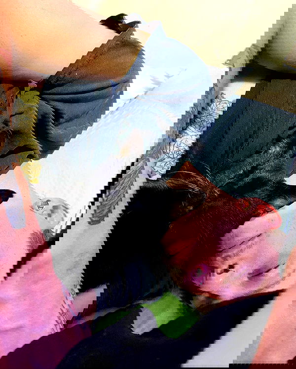 mishel116 mishel116 archive image