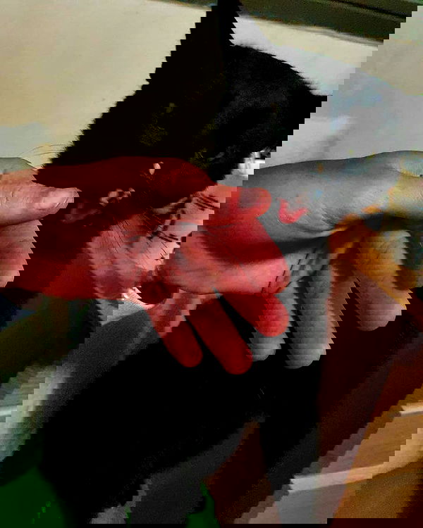 mishel116 mishel116 archive image