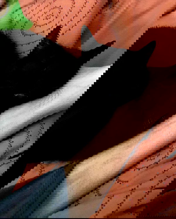 mishel116 mishel116 archive image