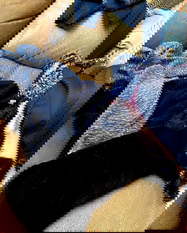 mishel116 mishel116 archive image