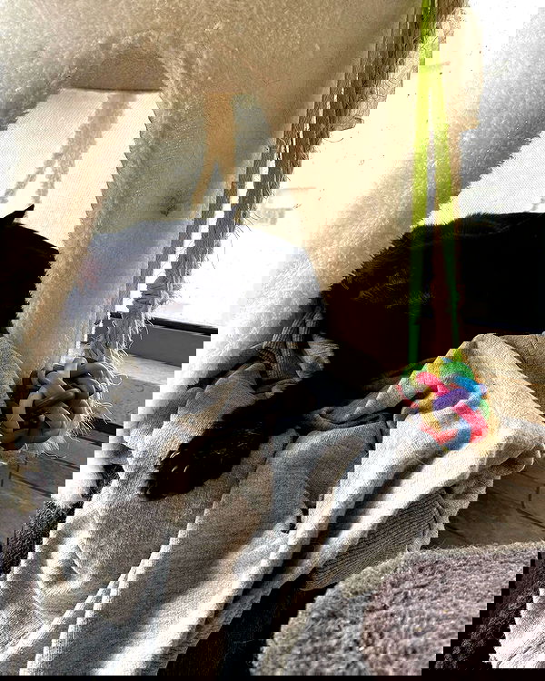 mishel116 mishel116 archive image