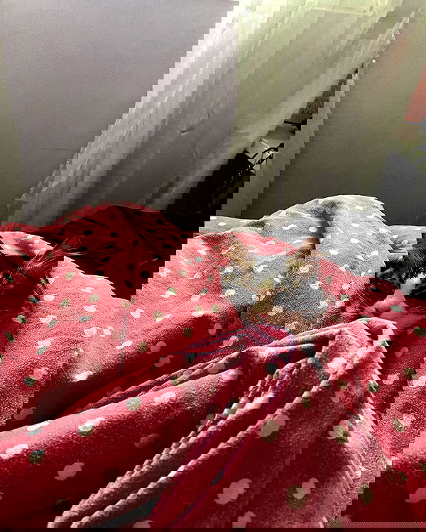 mishel116 mishel116 archive image