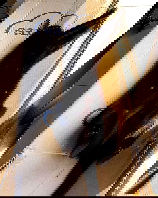 mishel116 mishel116 archive image