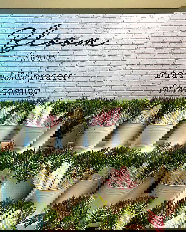 mishel116 mishel116 archive image