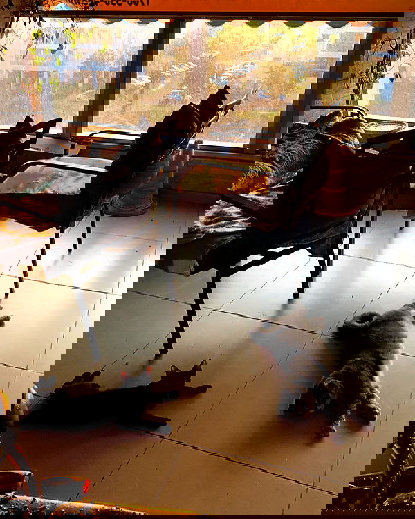 mishel116 mishel116 archive image