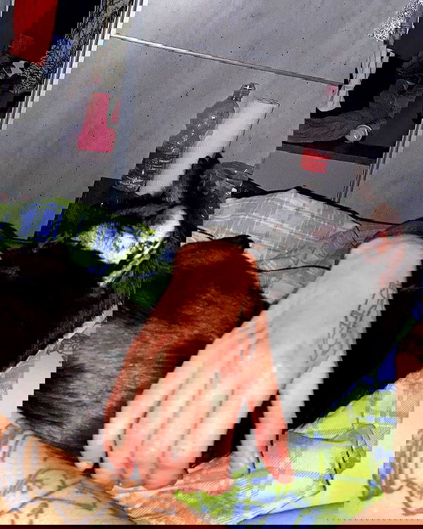 mishel116 mishel116 archive image