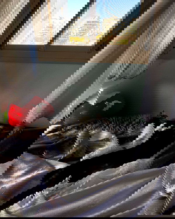 mishel116 mishel116 archive image