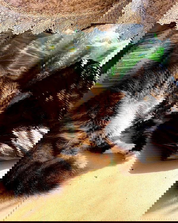 mishel116 mishel116 archive image