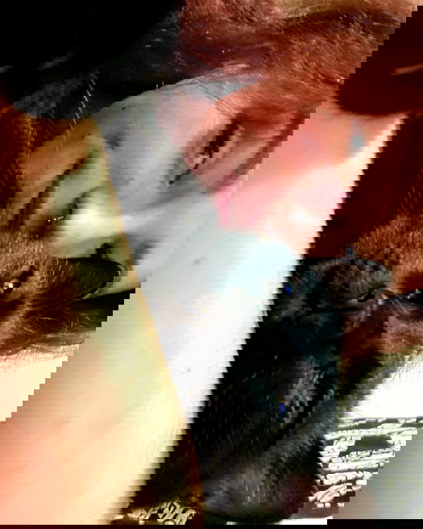 mishel116 mishel116 archive image